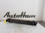 INTERCOOLER Fiat Fiorino (225) (01-2007/12-2012) (51877663), Utilisé, Fiat