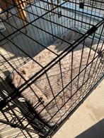 Bench 90 x 60 x 60, Dieren en Toebehoren, Ophalen, Minder dan 65 cm, Hondenhok, Zo goed als nieuw