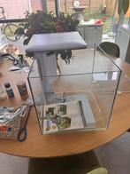Kleine aquarium te koop, met alle toebehoren!, Ophalen, Zo goed als nieuw