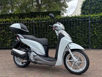 Honda SH 300 beschikbaar voor biedingen