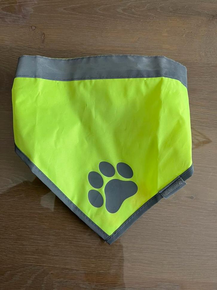 Fluosjaal voor hond maat m, Dieren en Toebehoren, Hondenkleding, Zo goed als nieuw, Ophalen of Verzenden
