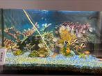 Aquarium met vissen en pomp en kast, Dieren en Toebehoren, Ophalen, Zo goed als nieuw