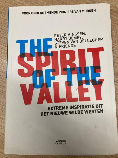 Boek "The Spirit of the Valley", Livres, Économie, Management & Marketing, Comme neuf, Économie et Marketing, Enlèvement ou Envoi