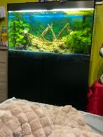 Grote aquarium, Ophalen, Gebruikt