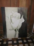 Kader 40,5 cm op 51 cm witte roos print op doek Prijs: €5,0, Ophalen