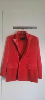 Vest/jas bpc selection, NIEUW zacht fluweel maat 38/40, Kleding | Dames, Ophalen of Verzenden, Nieuw, Maat 38/40 (M), Rood