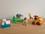 duplo 4962 baby dierentuin, Ophalen, Zo goed als nieuw, Complete set, Duplo