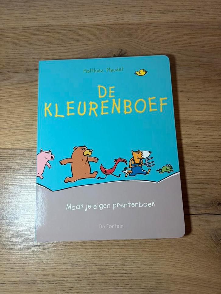 Matthieu Maudet - De kleurenboef, Boeken, Prentenboeken en Plaatjesalbums, Prentenboek, Verzenden