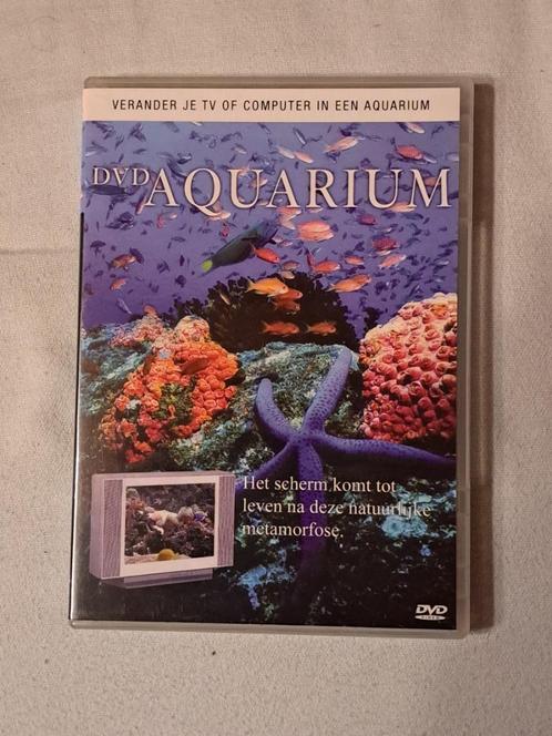 dvd aquarium, CD & DVD, DVD | Enfants & Jeunesse, Enlèvement ou Envoi