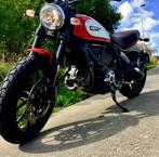 Ducati scrambler icon, Fietsen en Brommers, Brommers | Derbi, Ophalen, Zo goed als nieuw