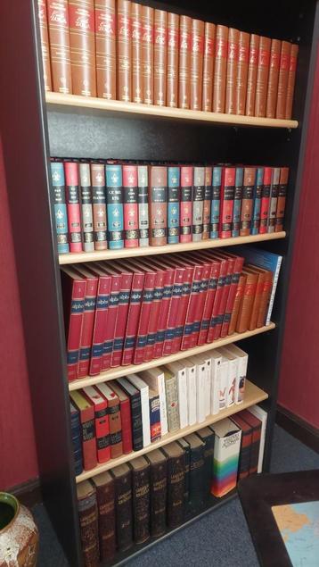 Twee gezonde boekenkasten 85 x 41,5 x 185 (L x diepte x hoog beschikbaar voor biedingen