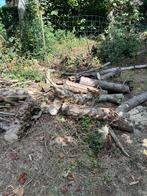 Mooie stukken brandhout esdoorn, Tuin en Terras, Brandhout, Ophalen, Eikenhout, Stammen