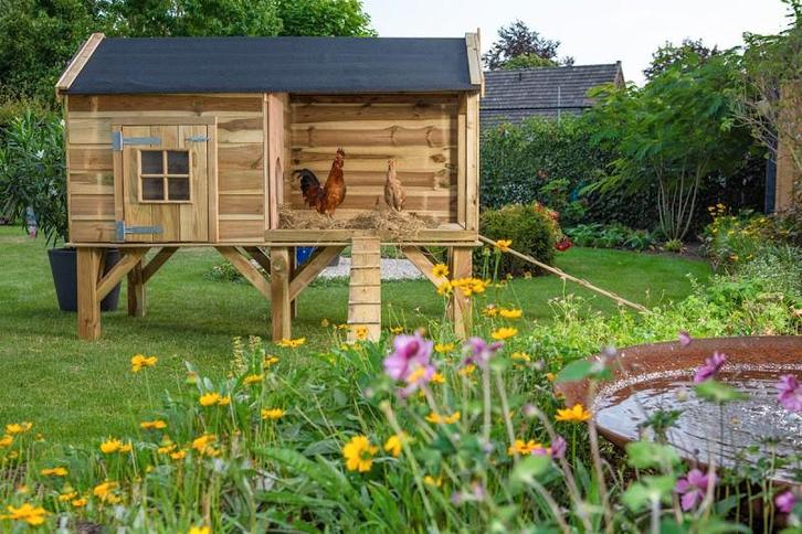 Dierenverblijf Dennis, Dieren en Toebehoren, Pluimvee | Toebehoren, Nieuw, Kippenhok of Kippenren, Ophalen of Verzenden