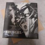 Kunstboek Breugel, Ophalen of Verzenden