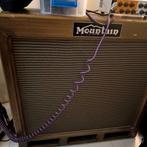 Mountain 2x15 bascabinet, Enlèvement, Guitare