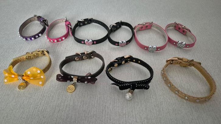 A vendre un lot de 10 colliers pour chiens ou chats, Animaux & Accessoires, Colliers & Médailles pour chiens, Neuf, Enlèvement