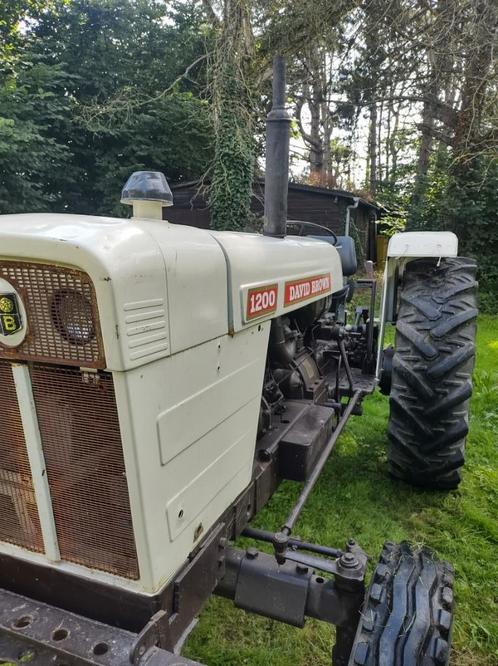 David Brown 1200, Articles professionnels, Agriculture | Tracteurs, 5000 à 7500, Autres marques, jusqu'à 80 ch, Oldtimer/Ancêtre