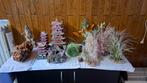 Decoratie aquarium, Dieren en Toebehoren, Ophalen