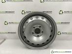 16 Inch Velg Opel Vivaro B Renault Traffic 3 ORIG 93458046, Auto-onderdelen, Gebruikt, Velg(en), 16 inch, Ophalen of Verzenden