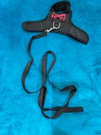 Riem voor konijnen of kleine katten, Dieren en Toebehoren, Ophalen, Zo goed als nieuw