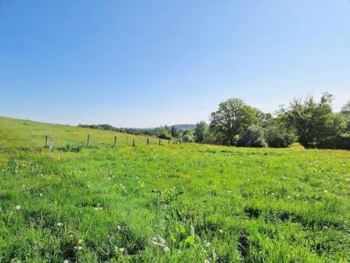 6830 Les Hayons: bouwgrond, 40 are., Immo, Gronden en Bouwgronden, 1500 m² of meer