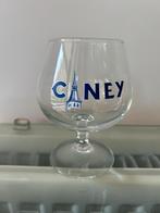 Bierglazen Ciney 15cl proefglazen, Ophalen, Zo goed als nieuw
