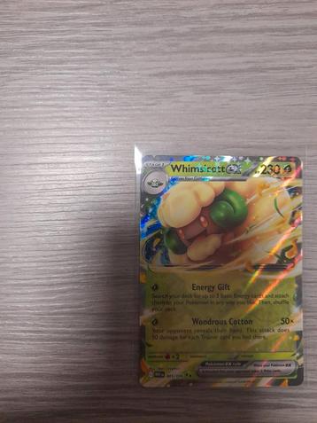 White Flare Whimsicott ex 005 beschikbaar voor biedingen