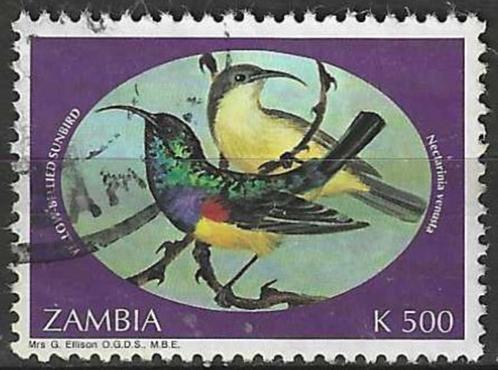 Zambia 1994 - Yvert 591 - Ornaathoningzuiger  (ST), Timbres & Monnaies, Timbres | Afrique, Affranchi, Zambie, Envoi