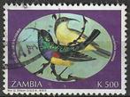 Zambia 1994 - Yvert 591 - Ornaathoningzuiger  (ST), Timbres & Monnaies, Timbres | Afrique, Zambie, Affranchi, Envoi