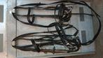 Pony hoofdstel met bit, Ophalen, Gebruikt, Recreatie