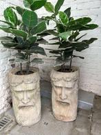 Bloempotten - Mannen met baard, Ophalen
