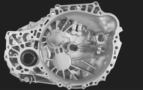 Boite de vitesses RAV4 / D4D pour Toyota RAV4 / D4D / D-CAT , Auto-onderdelen, Transmissie en Toebehoren, Toyota, Gereviseerd