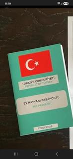 Rechercher personne turc, Enlèvement