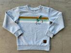 Leuke sweater maat 98, Ophalen of Verzenden, Zo goed als nieuw, Jongen, Trui of Vest