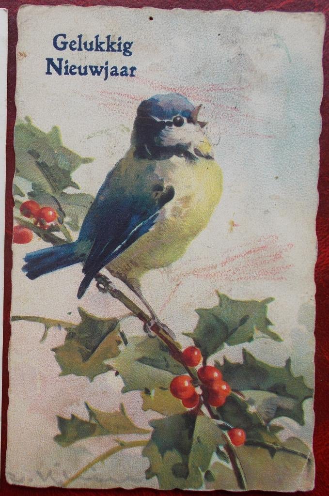 Oude wenskaart uit 1924 stempel Borgt (gehucht Grimbergen), Verzamelen, Verzenden, Gelopen, Natuur