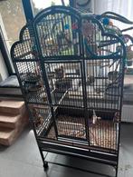 Groot kooi, Animaux & Accessoires, Oiseaux | Cages & Volières, Enlèvement, Comme neuf