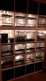 Terrarium 30x30x30 exo terra, habistat, Enlèvement, Comme neuf, Terrarium ou Paludarium