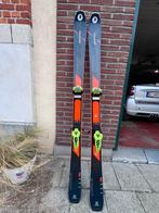 Salomon , 1.72 m  radius 14 m   Sporieve alround ski, Ophalen, Zo goed als nieuw, Ski