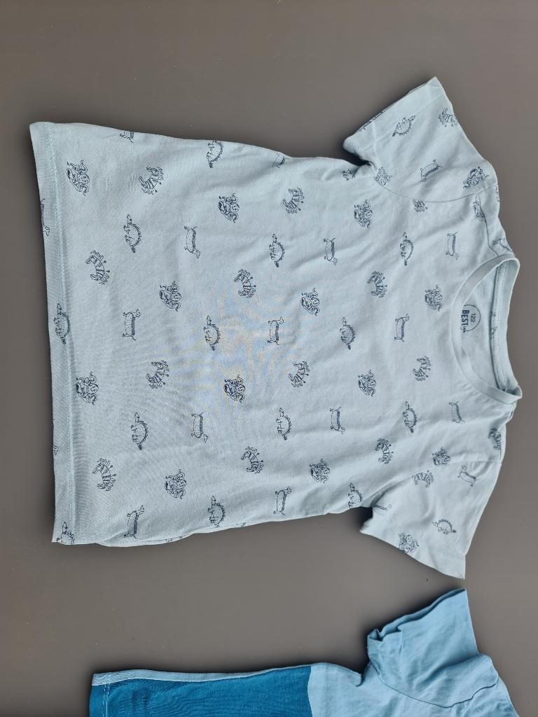 t-shirt, longsleeve, longsleef met dieren, Besties, 122, Kinderen en Baby's, Kinderkleding | Maat 122, Ophalen, Zo goed als nieuw