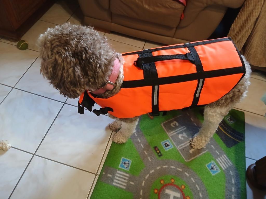 Zwemvest voor honden XL, Ophalen, Zo goed als nieuw, Hondenzwemvest