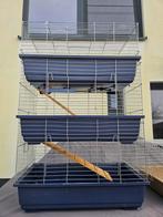 Kooien voor Cavia's of dwergkonijntjes, 90 cm ou plus, Cage, Cobaye, Utilisé