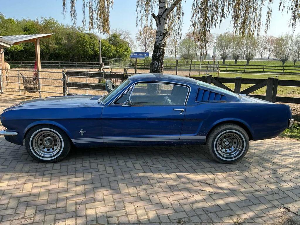 Voiture particulière Ford MUSTANG Fastback de 1966, Autos, Ford, Achat, Entreprise, Cabriolet, Boîte manuelle