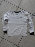 Witte pull, Kleding | Dames, Truien en Vesten, Wit, Ophalen of Verzenden, Zo goed als nieuw, ANDERE