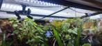 terrarium/paludarium/aquarium verlichting LED (90cm/120cm), Ophalen, Zo goed als nieuw, Verlichting