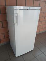 Diepvries, Elektronische apparatuur, Vriezers en Diepvrieskisten, Ophalen, Gebruikt