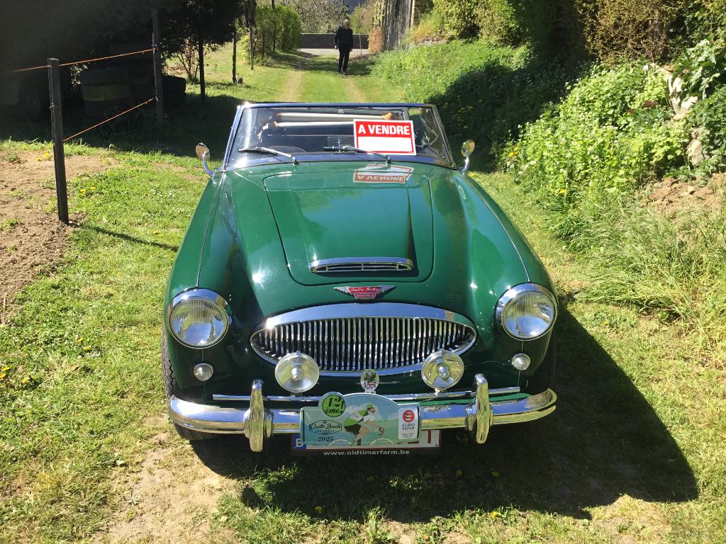 ‘cabriolet ancêtre, Auto's, Oldtimers, Particulier, Austin, Benzine, Cabriolet, 2 deurs, Handgeschakeld, Groen, Zwart, Overige bekleding