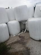 Mais bollen, Ophalen of Verzenden