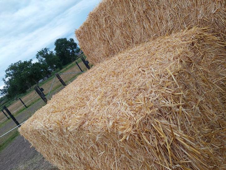 voordroog, Articles professionnels, Agriculture | Aliments pour bétail, Enlèvement