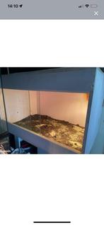 Terrarium, Enlèvement, Comme neuf