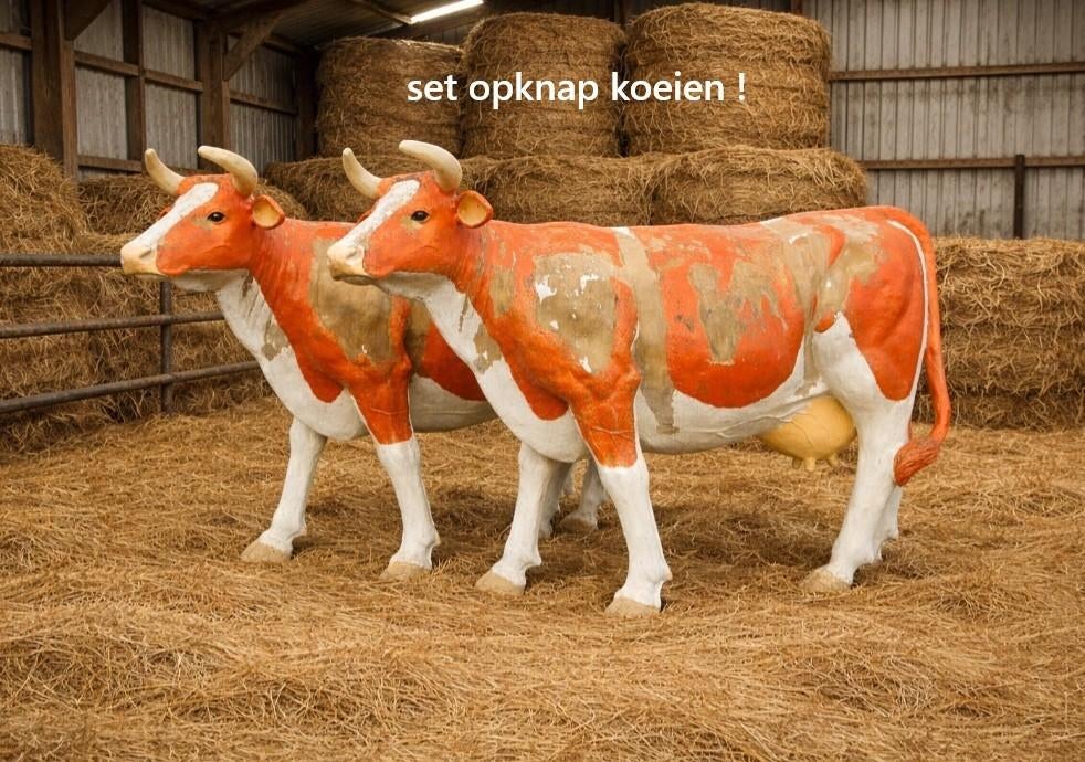 koe ... 2 koeien opknappers, Tuin en Terras, Tuinbeelden, Ophalen